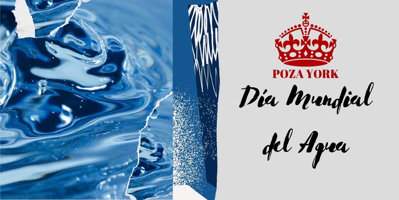 Día Mundial del Agua