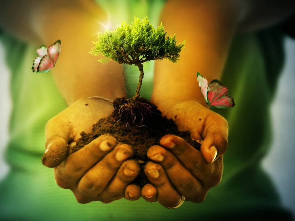 Día Mundial de la Madre Tierra