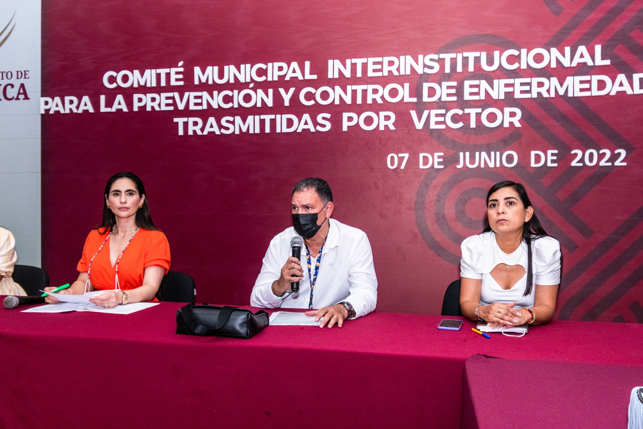 Sexta Sesión Ordinaria del Subcomité Interinstitucional para la Prevención y Control de Enfermedades Transmitidas por el Vector