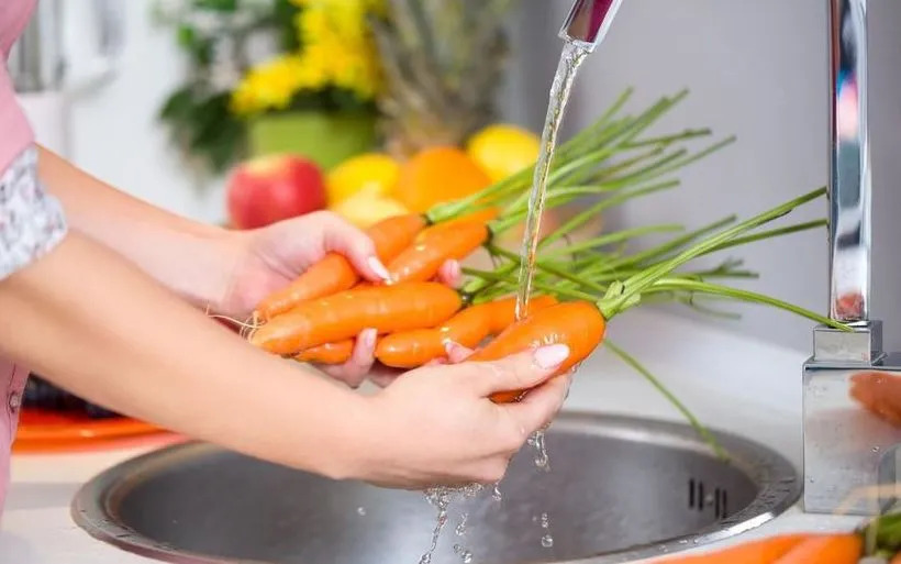 Curso gratuito de saneamiento básico y manejo higiénico de los alimentos