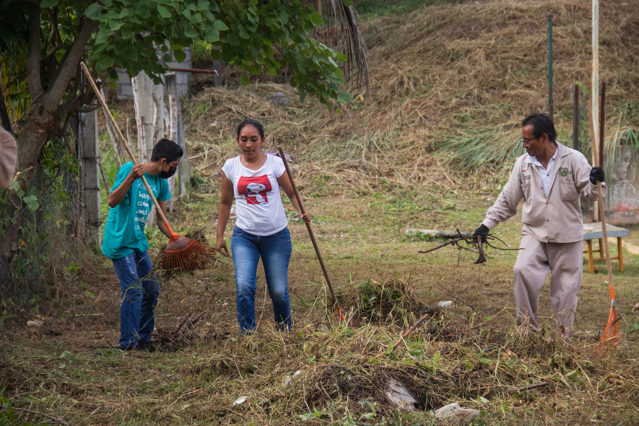 Programa de labor social «Tus Manos Ayudan» en la colonia Lomas Verdes