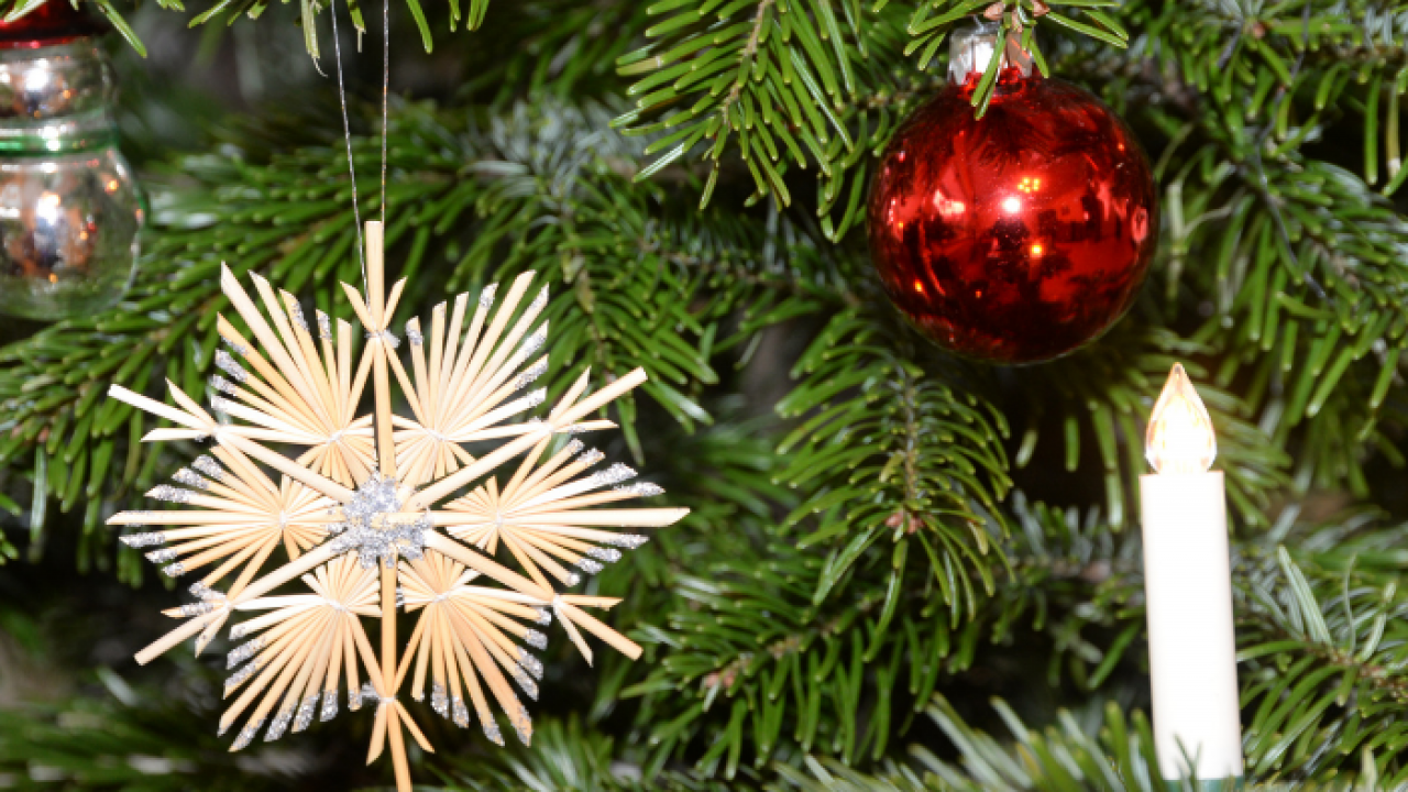 Recicla tu navidad 2023