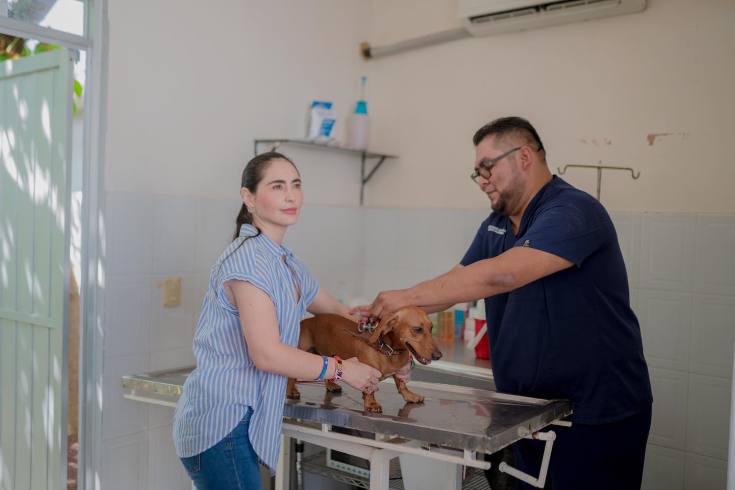 Cuidando de Nuestros Fieles Amigos en Poza Rica en el Día Mundial contra la Rabia