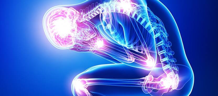 Poza Rica: ¡Descubre el estado de tus huesos y toma medidas para mantenerlos fuertes! ¡Tu bienestar es lo más importante!